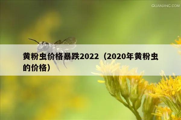 黄粉虫价格暴跌2022（2020年黄粉虫的价格）