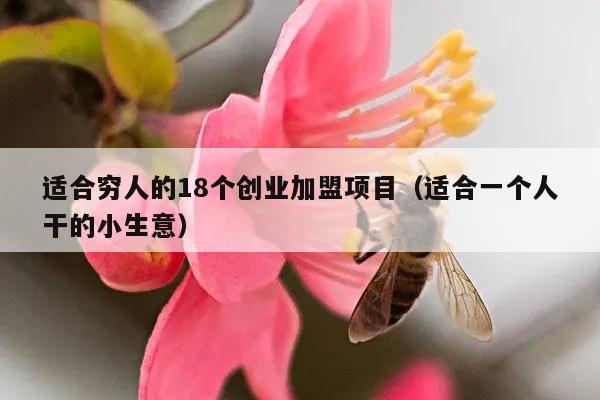 适合穷人的18个创业加盟项目（适合一个人干的小生意）