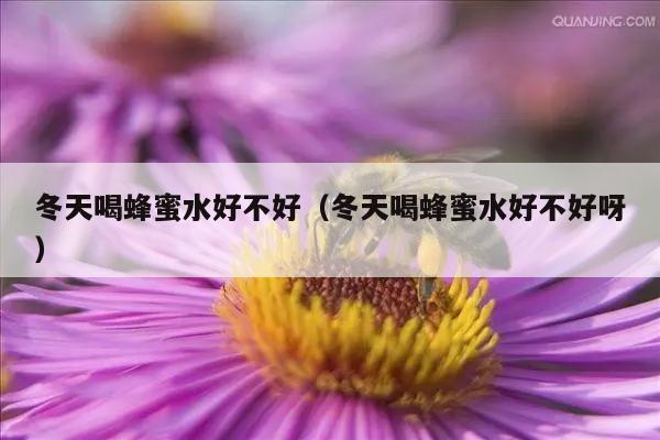 冬天喝蜂蜜水好不好（冬天喝蜂蜜水好不好呀）