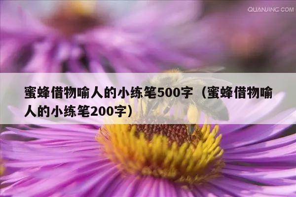 蜜蜂借物喻人的小练笔500字（蜜蜂借物喻人的小练笔200字）