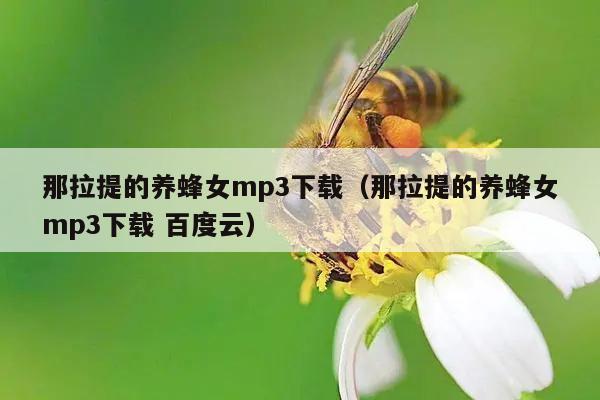 那拉提的养蜂女mp3下载（那拉提的养蜂女mp3下载 百度云）