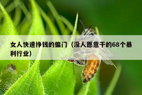 女人快速挣钱的偏门（没人愿意干的68个暴利行业）