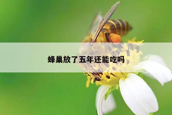 蜂巢放了五年还能吃吗