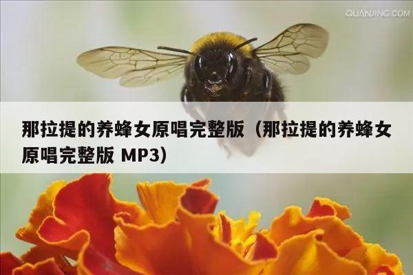 那拉提的养蜂女原唱完整版（那拉提的养蜂女原唱完整版 MP3）