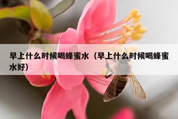 早上什么时候喝蜂蜜水（早上什么时候喝蜂蜜水好）