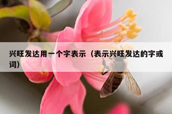 兴旺发达用一个字表示（表示兴旺发达的字或词）