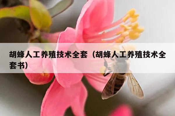 胡蜂人工养殖技术全套（胡蜂人工养殖技术全套书）