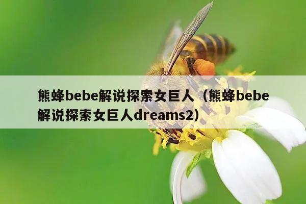 熊蜂bebe解说探索女巨人（熊蜂bebe解说探索女巨人dreams2）