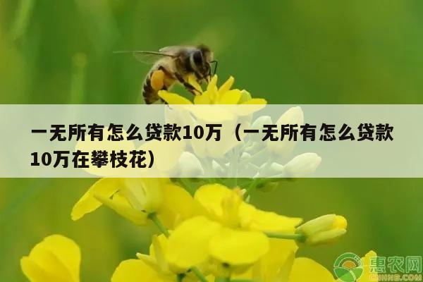 一无所有怎么贷款10万（一无所有怎么贷款10万在攀枝花）