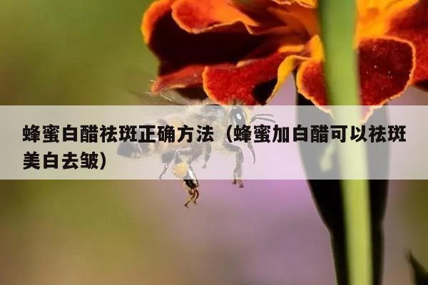 蜂蜜白醋祛斑正确方法（蜂蜜加白醋可以祛斑美白去皱）