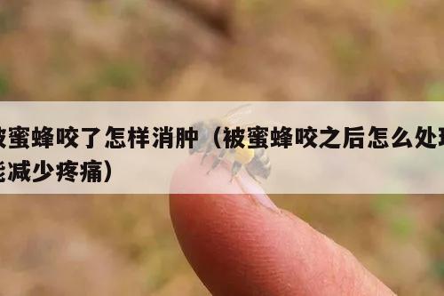 被蜜蜂咬了怎样消肿（被蜜蜂咬之后怎么处理能减少疼痛）