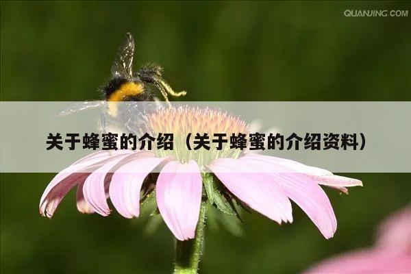 关于蜂蜜的介绍（关于蜂蜜的介绍资料）