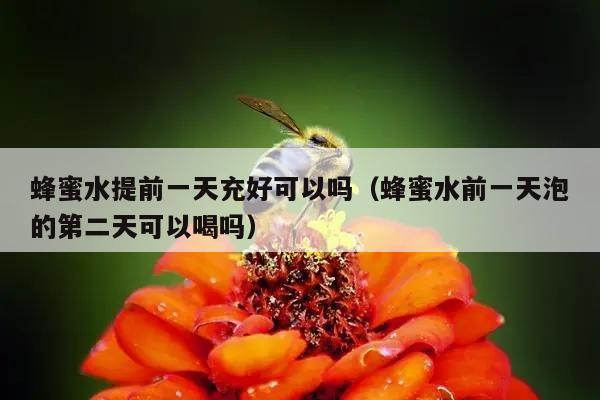 蜂蜜水提前一天充好可以吗（蜂蜜水前一天泡的第二天可以喝吗）