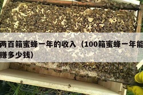 两百箱蜜蜂一年的收入（100箱蜜蜂一年能赚多少钱）