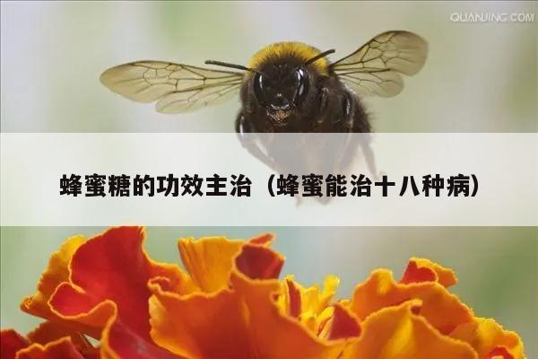 蜂蜜糖的功效主治（蜂蜜能治十八种病）