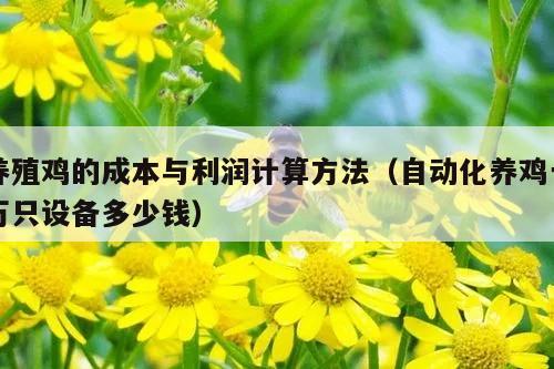 养殖鸡的成本与利润计算方法（自动化养鸡一万只设备多少钱）