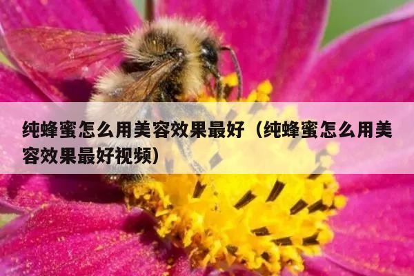 纯蜂蜜怎么用美容效果最好（纯蜂蜜怎么用美容效果最好视频）