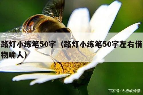 路灯小练笔50字（路灯小练笔50字左右借物喻人）