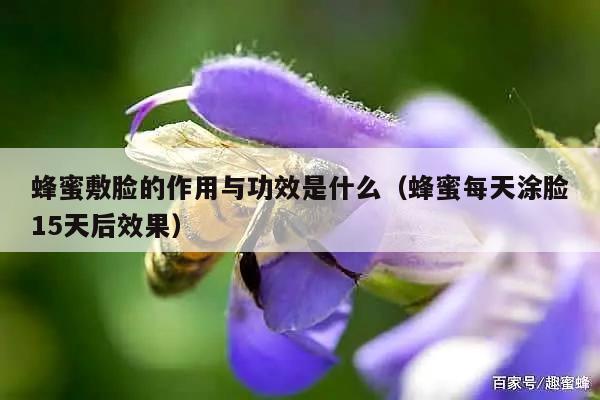 蜂蜜敷脸的作用与功效是什么（蜂蜜每天涂脸15天后效果）