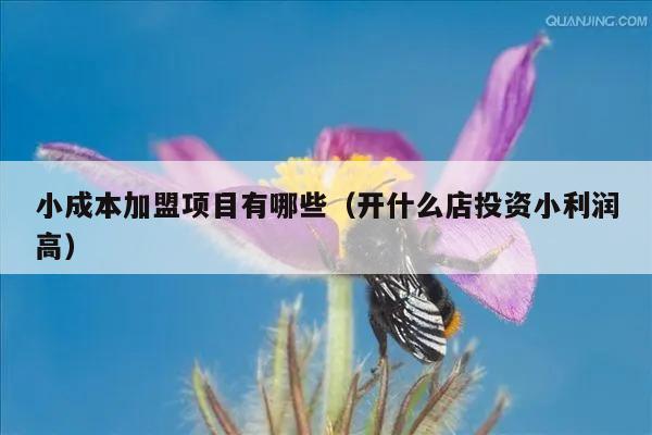 小成本加盟项目有哪些（开什么店投资小利润高）