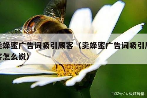 卖蜂蜜广告词吸引顾客（卖蜂蜜广告词吸引顾客怎么说）