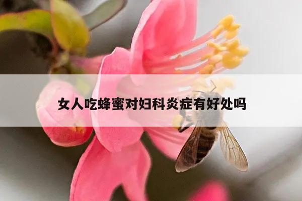 女人吃蜂蜜对妇科炎症有好处吗