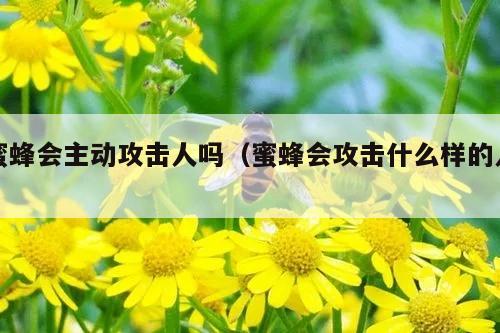 蜜蜂会主动攻击人吗（蜜蜂会攻击什么样的人）