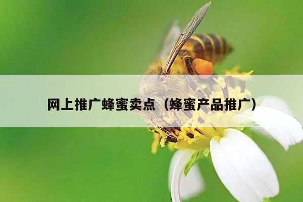 网上推广蜂蜜卖点（蜂蜜产品推广）