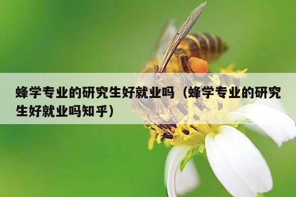 蜂学专业的研究生好就业吗（蜂学专业的研究生好就业吗知乎）