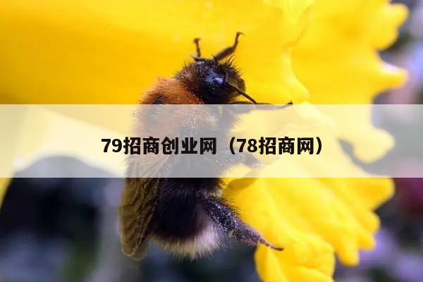 79招商创业网（78招商网）