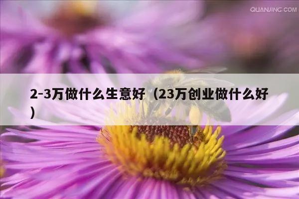 2-3万做什么生意好（23万创业做什么好）