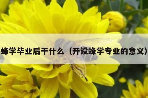 蜂学毕业后干什么（开设蜂学专业的意义）