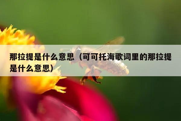 那拉提是什么意思（可可托海歌词里的那拉提是什么意思）