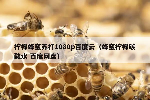 柠檬蜂蜜苏打1080p百度云（蜂蜜柠檬碳酸水 百度网盘）