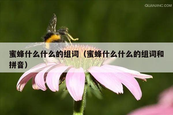 蜜蜂什么什么的组词（蜜蜂什么什么的组词和拼音）