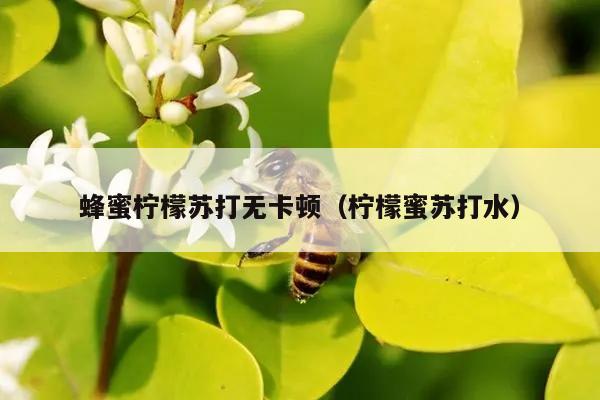 蜂蜜柠檬苏打无卡顿（柠檬蜜苏打水）