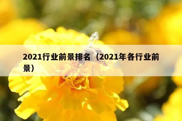 2021行业前景排名（2021年各行业前景）