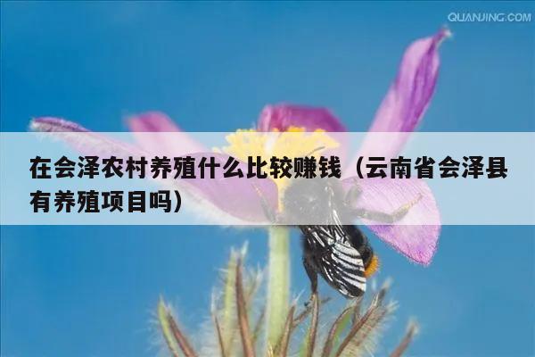 在会泽农村养殖什么比较赚钱（云南省会泽县有养殖项目吗）