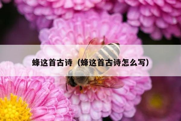 蜂这首古诗（蜂这首古诗怎么写）