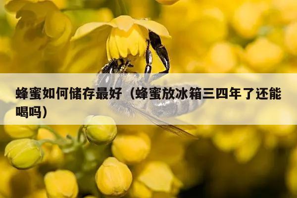 蜂蜜如何储存最好（蜂蜜放冰箱三四年了还能喝吗）