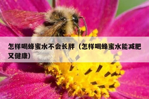 怎样喝蜂蜜水不会长胖（怎样喝蜂蜜水能减肥又健康）