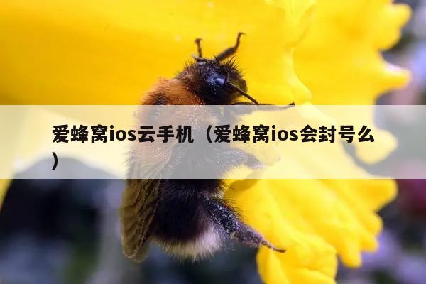 爱蜂窝ios云手机（爱蜂窝ios会封号么）