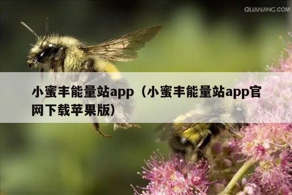 小蜜丰能量站app（小蜜丰能量站app官网下载苹果版）