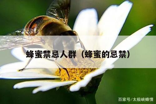 蜂蜜禁忌人群（蜂蜜的忌禁）