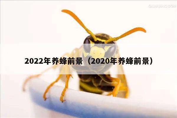 2022年养蜂前景（2020年养蜂前景）