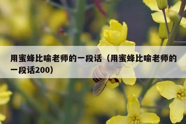 用蜜蜂比喻老师的一段话（用蜜蜂比喻老师的一段话200）