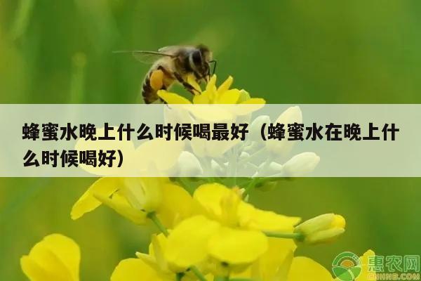 蜂蜜水晚上什么时候喝最好（蜂蜜水在晚上什么时候喝好）