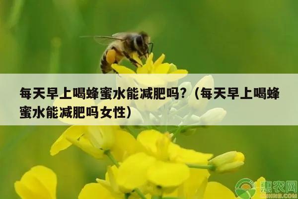 每天早上喝蜂蜜水能减肥吗?（每天早上喝蜂蜜水能减肥吗女性）