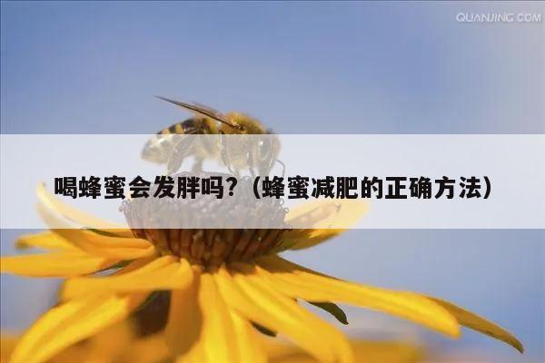 喝蜂蜜会发胖吗?（蜂蜜减肥的正确方法）