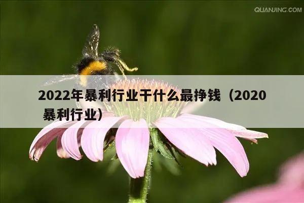 2022年暴利行业干什么最挣钱（2020 暴利行业）